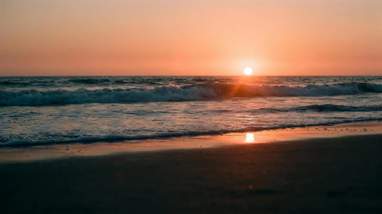 Santa Monica shoreline at golden hour: foam sliding over dark wet sand, a teal wave, the sun low on the water